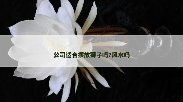 公司適合擺放獅子嗎?風水嗎