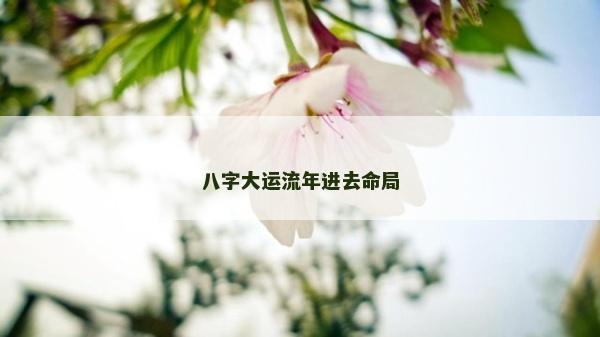 八字大運流年進去命局