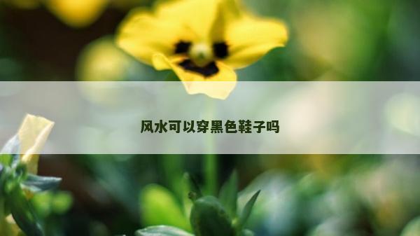 風水可以穿黑色鞋子嗎