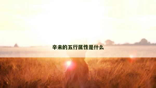 辛未的五行屬性是什么