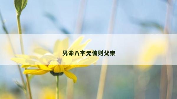 男命八字無偏財(cái)父親