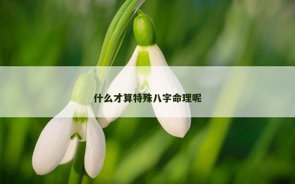 什么才算特殊八字命理呢
