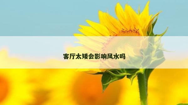 客廳太矮會影響風(fēng)水嗎
