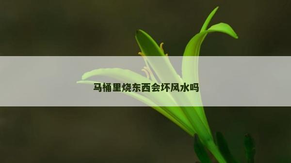馬桶里燒東西會壞風(fēng)水嗎