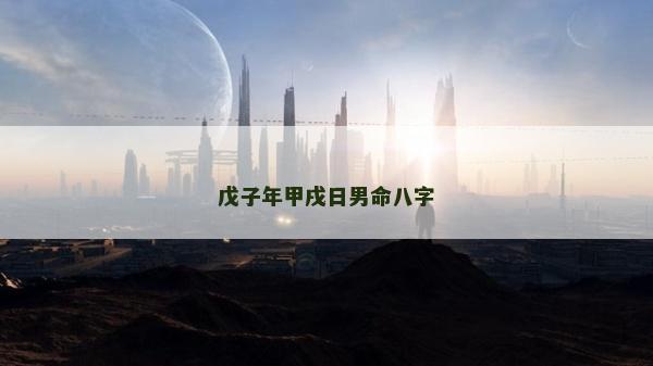 戊子年甲戌日男命八字