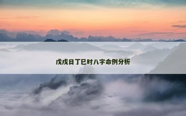 戊戌日丁巳時八字命例分析