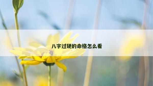 八字過硬的命格怎么看