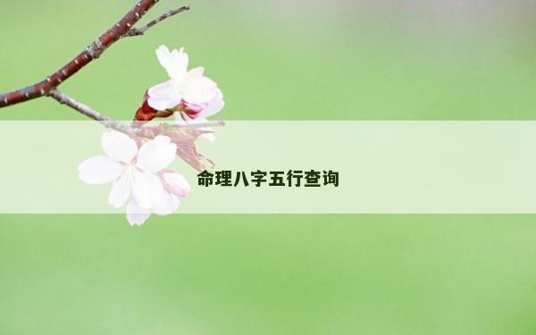 命理八字五行查詢