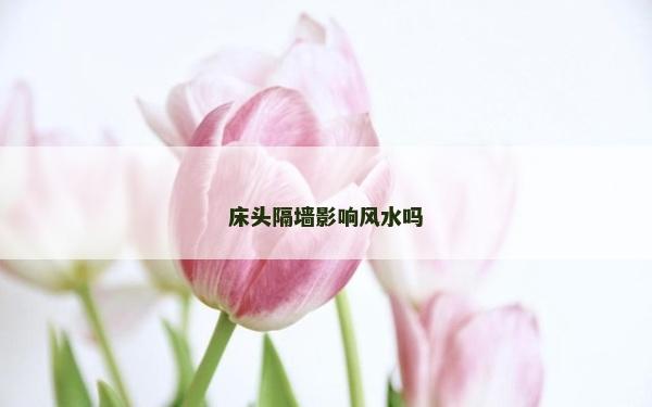 床頭隔墻影響風(fēng)水嗎