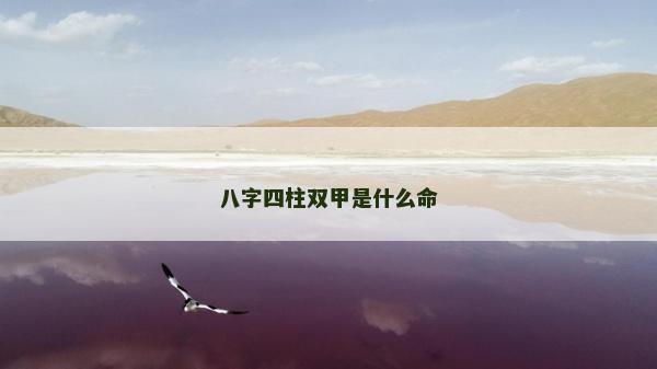 八字四柱雙甲是什么命