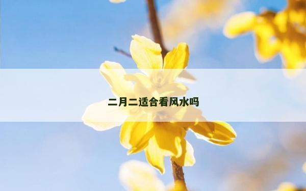 二月二適合看風水嗎