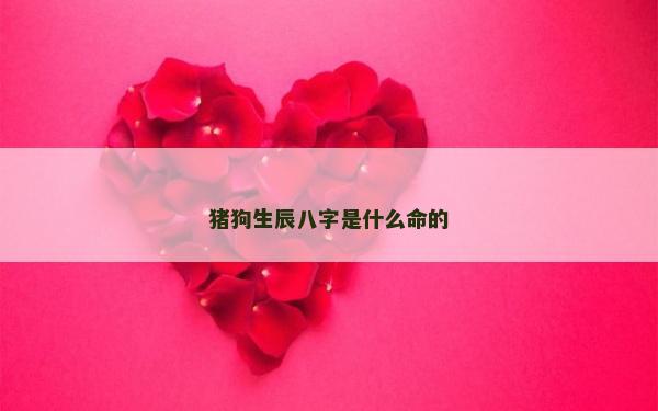 豬狗生辰八字是什么命的