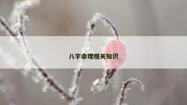 八字命理相關(guān)知識(shí)
