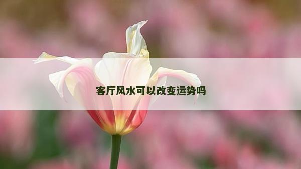 客廳風(fēng)水可以改變運勢嗎 客廳風(fēng)水可以改變運勢嗎