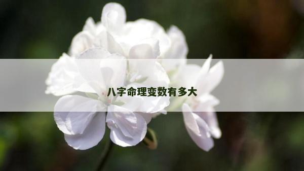 八字命理變數有多大 八字命理變數有多大
