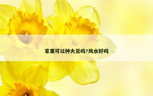 家里可以種大豆嗎?風水好嗎