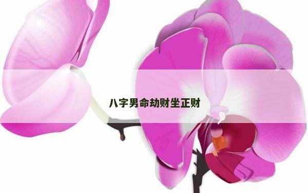 八字男命劫財(cái)坐正財(cái)