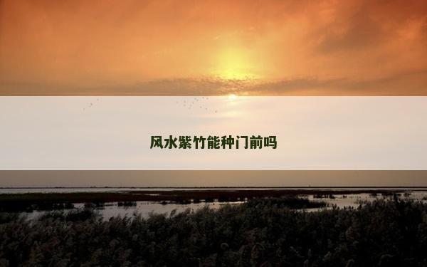 風水紫竹能種門前嗎 風水紫竹能種門前嗎