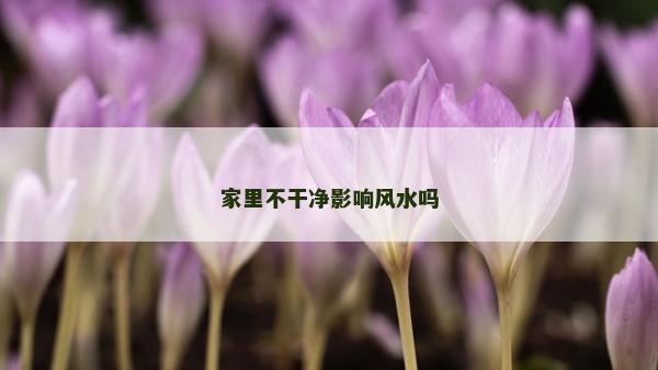 家里不干凈影響風水嗎