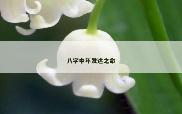 八字中年發達之命 八字中年發達之命