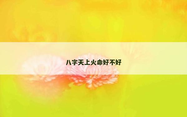 八字天上火命好不好