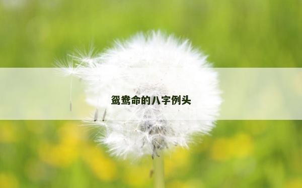 鴛鴦命的八字例頭