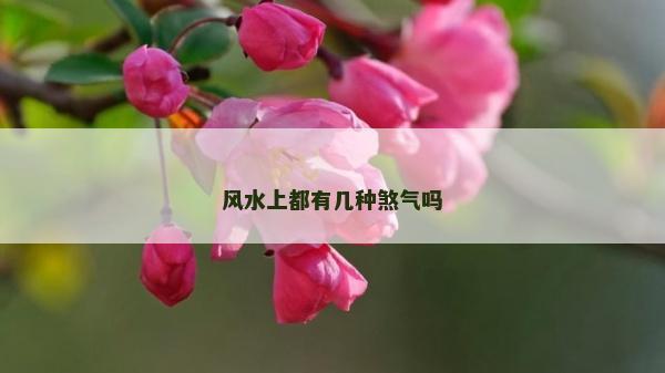 風水上都有幾種煞氣嗎