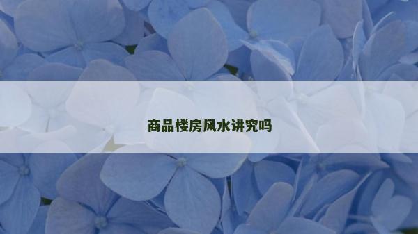 商品樓房風水講究嗎