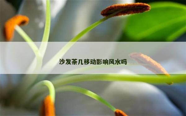 沙發茶幾移動影響風水嗎