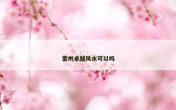雷州卓越風水可以嗎