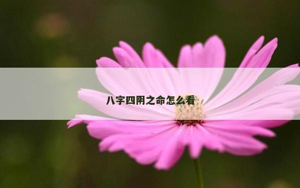 八字四陰之命怎么看
