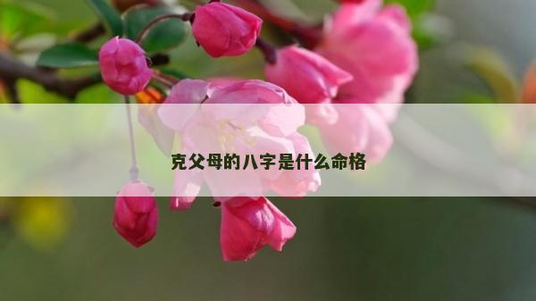 克父母的八字是什么命格
