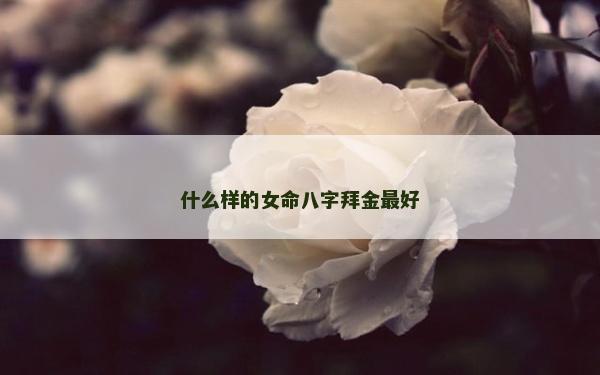 什么樣的女命八字拜金最好