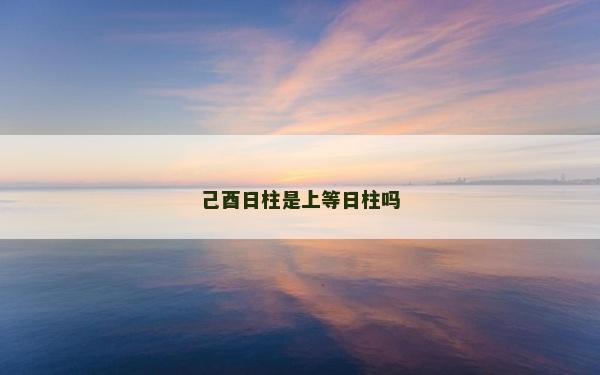 己酉日柱是上等日柱嗎