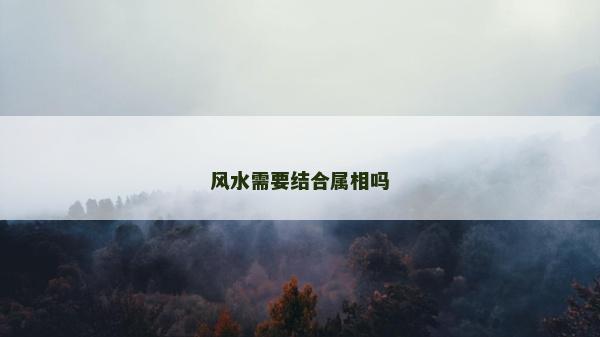 風水需要結合屬相嗎