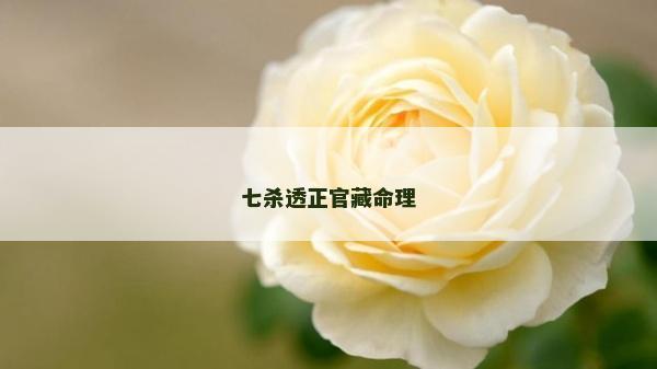 七殺透正官藏命理