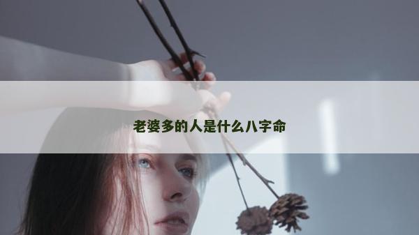 老婆多的人是什么八字命