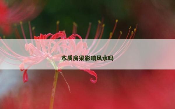 木質(zhì)房梁影響風(fēng)水嗎
