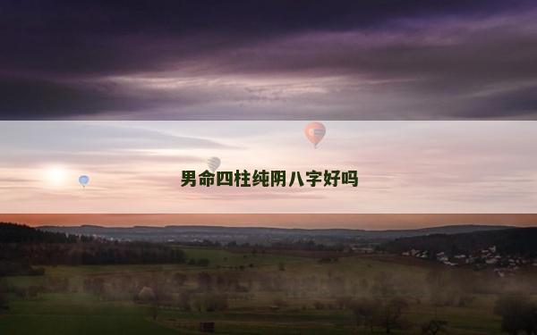 男命四柱純陰八字好嗎