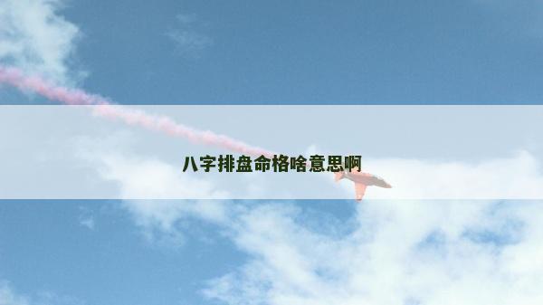 八字排盤命格啥意思啊