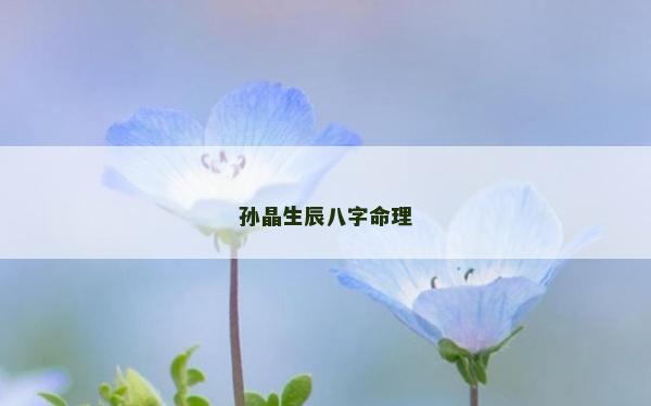 孫晶生辰八字命理 孫晶生辰八字命理