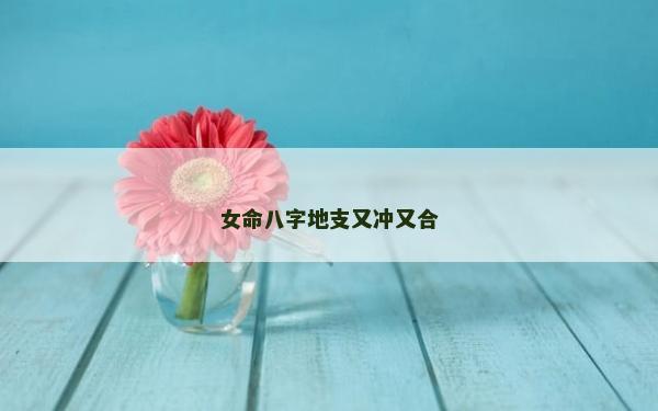 女命八字地支又沖又合