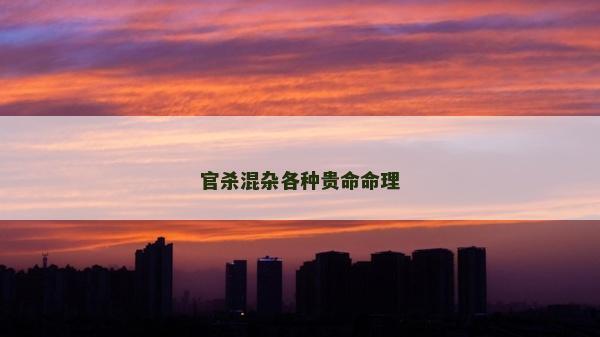 官殺混雜各種貴命命理