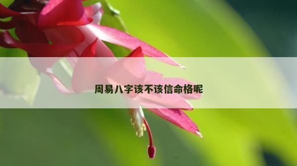 周易八字該不該信命格呢