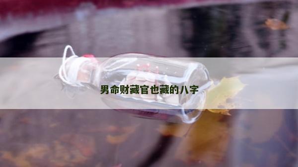 男命財藏官也藏的八字