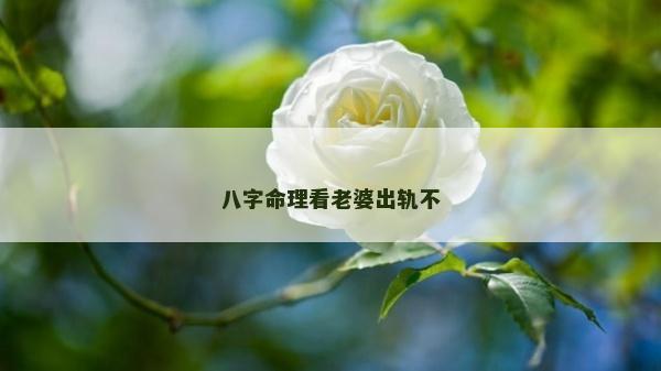 八字命理看老婆出軌不