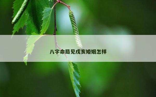 八字命局見戌亥婚姻怎樣 八字命局見戌亥婚姻怎樣