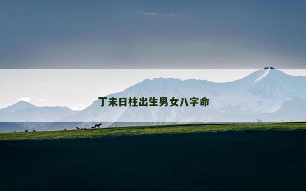 丁未日柱出生男女八字命
