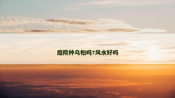 庭院種烏桕嗎?風水好嗎