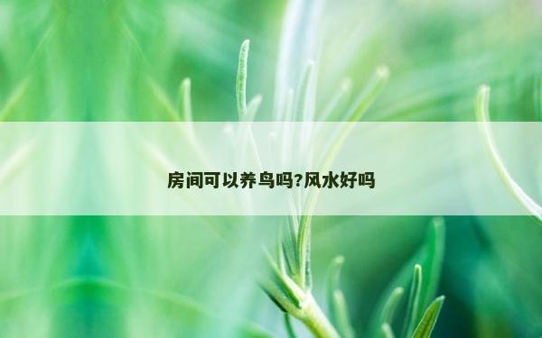 房間可以養鳥嗎?風水好嗎